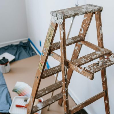 pexels-blue-bird-7217923